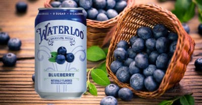 Waterloo Blueberry Sparkling Water