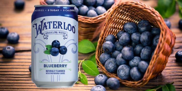 Waterloo Blueberry Sparkling Water