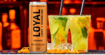 Loyal 9 Orange Vodka Seltzer