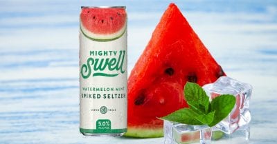 Mighty Swell Watermelon Mint Spiked Seltzer