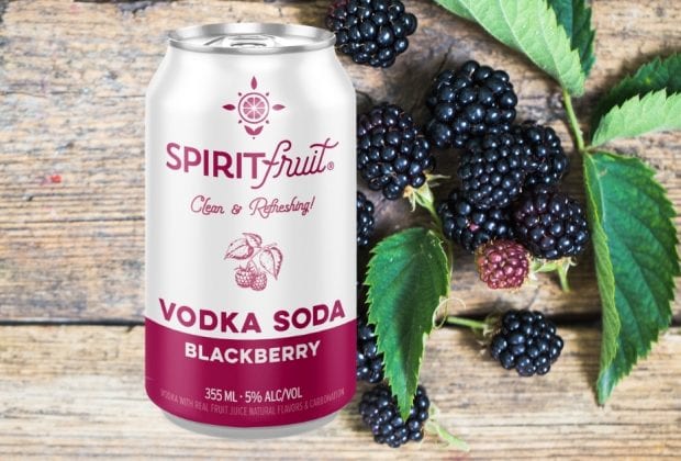 Spiritfruit Blackberry Vodka Soda