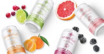 Spiritfruit Premium Canned Vodka Soda