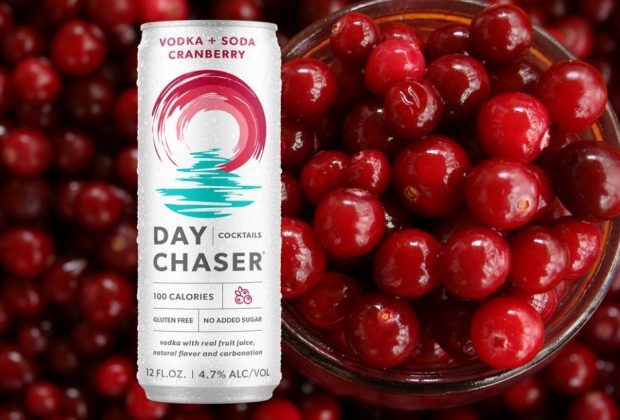 Day Chaser Review: Cranberry Vodka + Soda Canned Cocktail