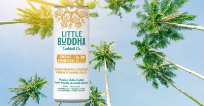 Little Buddha canned cocktail pineapple rosemary