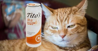 Tito's in a Can Tito's Handmade Vodka