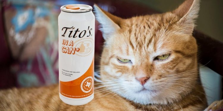 Tito's in a Can Tito's Handmade Vodka