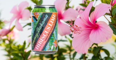 Tommy Bahama Hibiscus Lime Featured